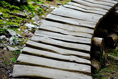 whistler, canada, trail, park, bike, path, bridge, mountain HD wallpaper