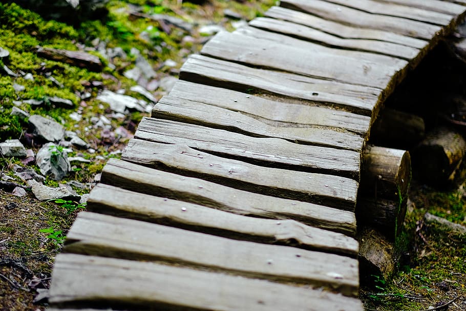 whistler, canada, trail, park, bike, path, bridge, mountain HD wallpaper