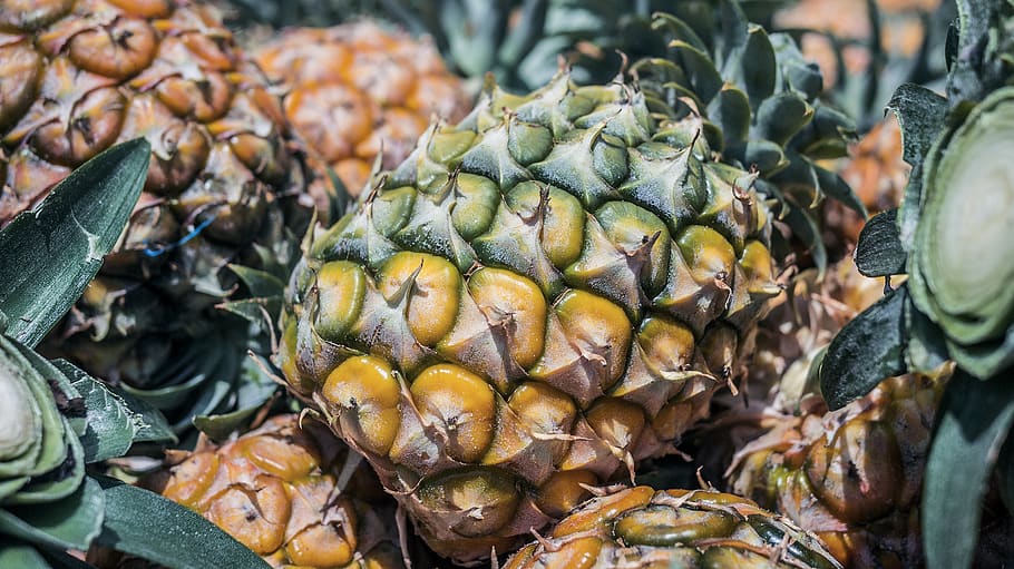 ripe pineapple, food and drink, freshness, close-up, retail, market HD wallpaper
