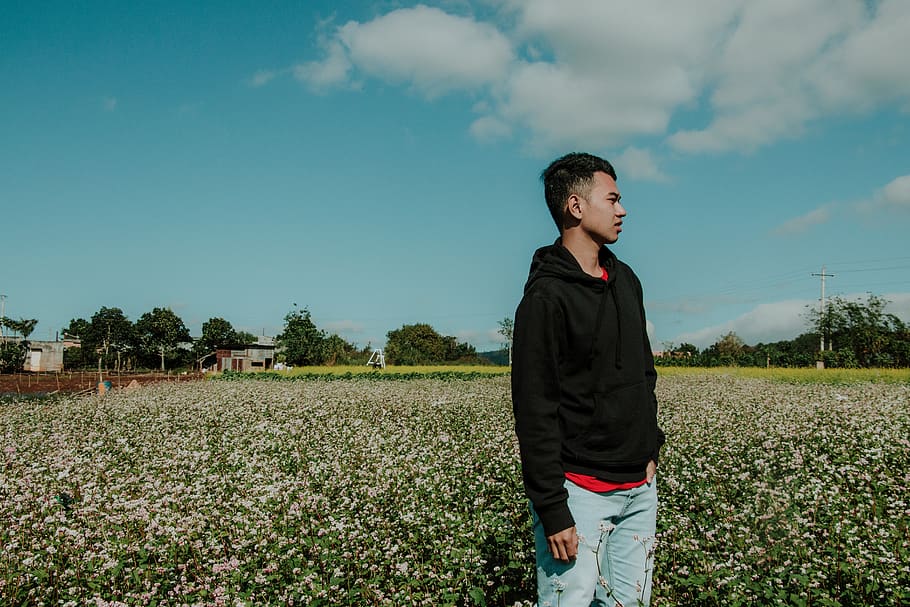Man Wearing Pullover Hoodie Standing on Flower Field, clouds HD wallpaper