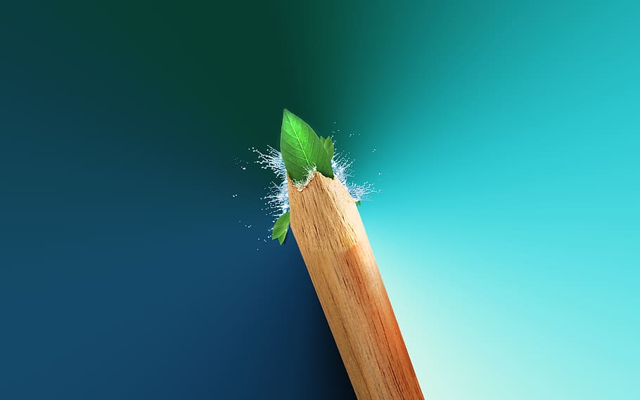 pencil, green leaf, cleanliness, purity, ecology, environment, HD wallpaper