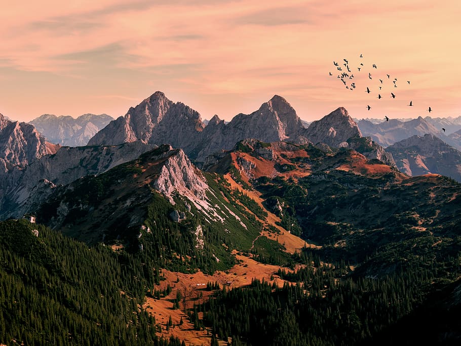 pfronten, hill, mountains, germany, landscape, nature, allgäu HD wallpaper