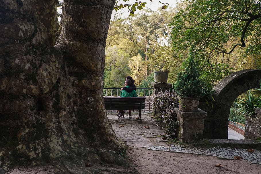 Couple Sitting on Bench, back view, daylight, embracing, flora HD wallpaper