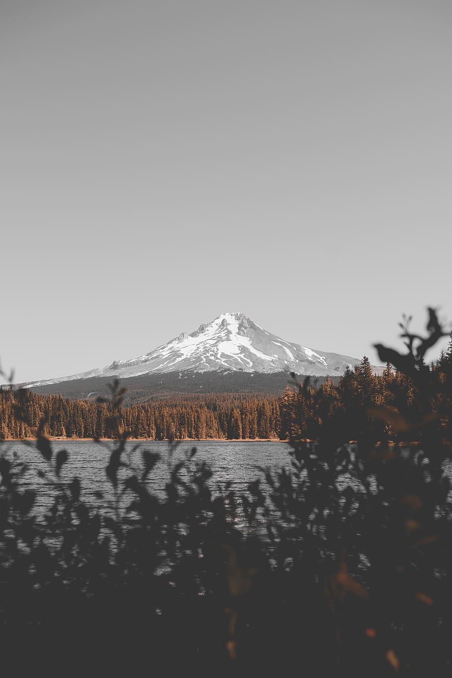 mountain view surrounding trees, snow, cold temperature, winter HD wallpaper