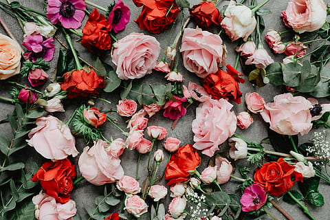 Flowers flat lay, flatlay, roses, valentines, red, pink, lovely HD wallpaper