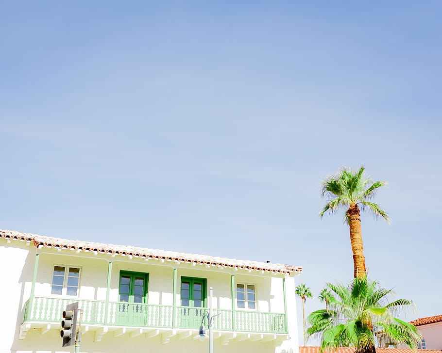 Palm Tree Under Blue Sky, architecture, beautiful, bright, building, HD wallpaper