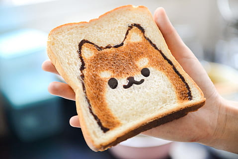 Slice of Loaf Bread With Dog Face, baking, cute, delicious, food HD wallpaper