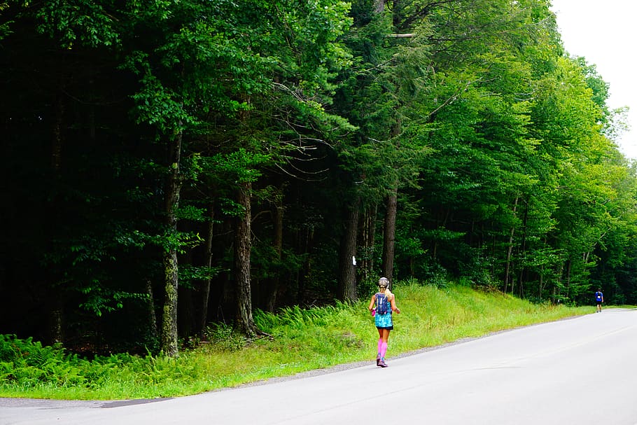 united states, catskill, runner, road, nature, tree, plant HD wallpaper