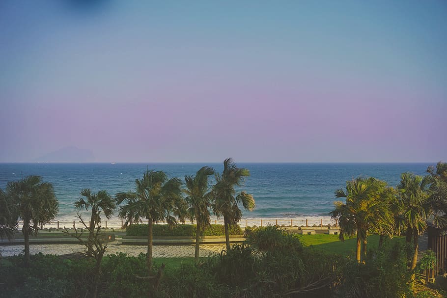tree, chill, breeze, cozy, beach, sea, water, sky, horizon over water HD wallpaper