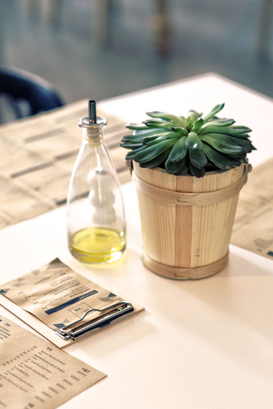 Plant & oil on the table, bottle, container, decor, drink, food HD wallpaper