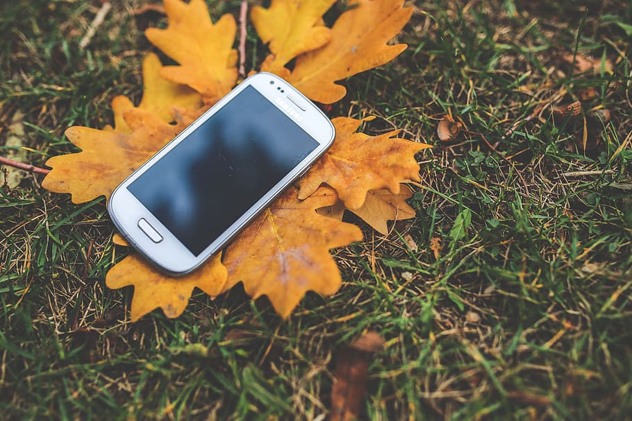 White mobile on the autumn leaves, mockup, screen, smartphone HD wallpaper