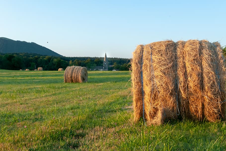 fields, prairie, hill, straw, bote, roller, rural, agriculture HD wallpaper