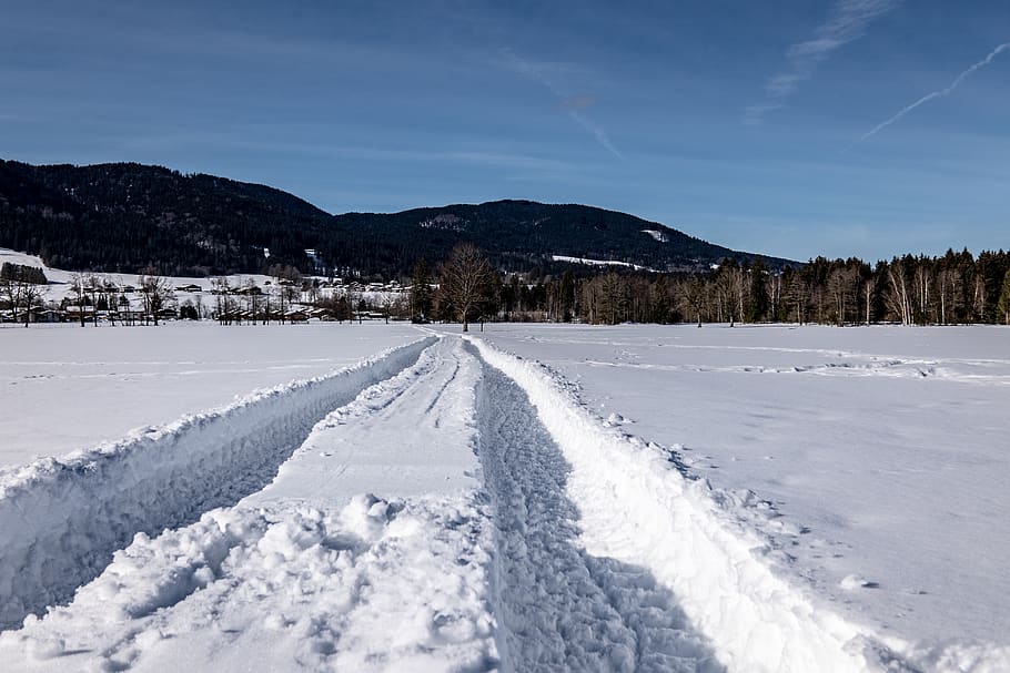 traces, snow, winter, cold, nature, landscape, away, wintry HD wallpaper