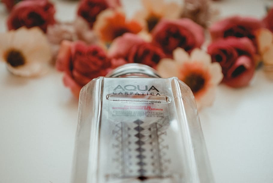 Aqua Carpalica Bottle Near Flowers on White Surface, blooming HD wallpaper