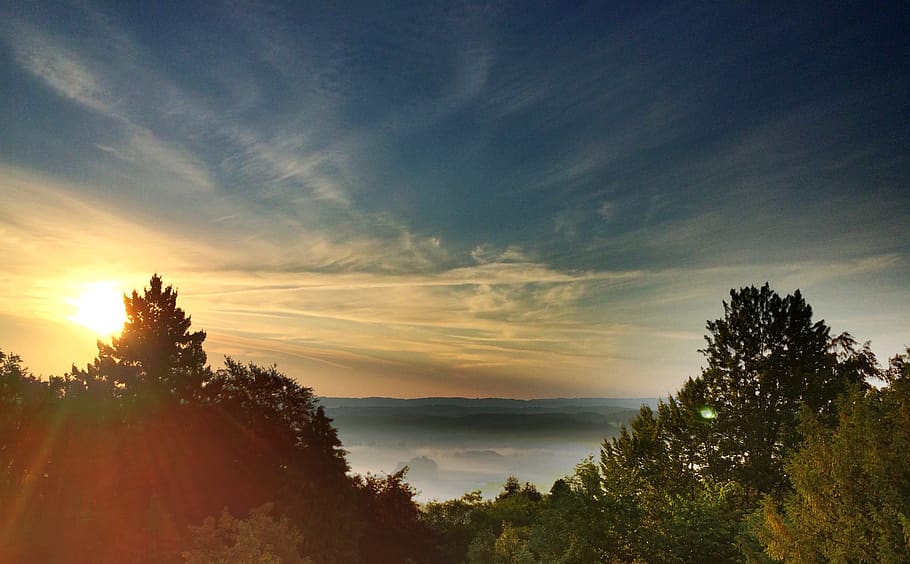 vista, trees, view, sunrise, sky, morning, plant, tranquility HD wallpaper