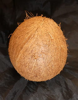 coconut, fruit, palm fruit, tropical, exotic, close-up, food and drink HD wallpaper