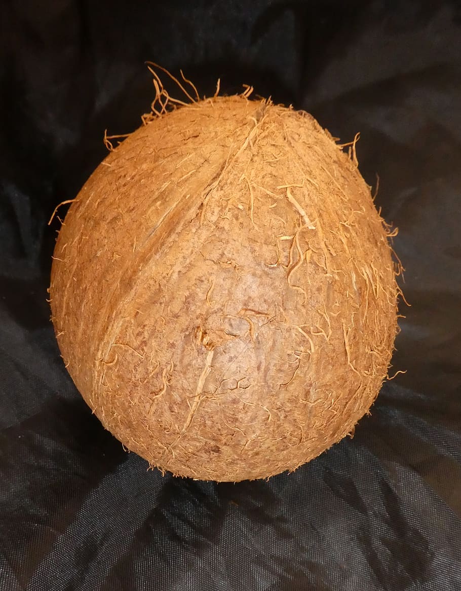 coconut, fruit, palm fruit, tropical, exotic, close-up, food and drink HD wallpaper