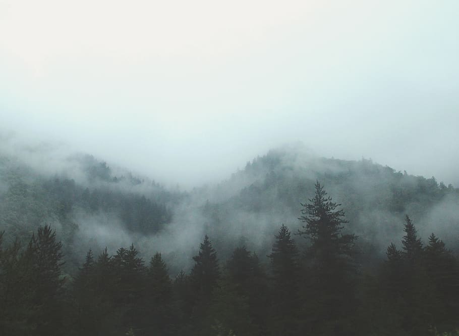 nature, landscape, mountain, clouds, sky, trees, woods, forest HD wallpaper