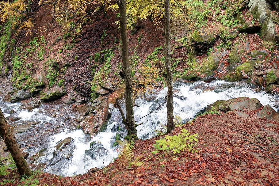 mountains, small river, creek, fast, flows, stones, forest HD wallpaper