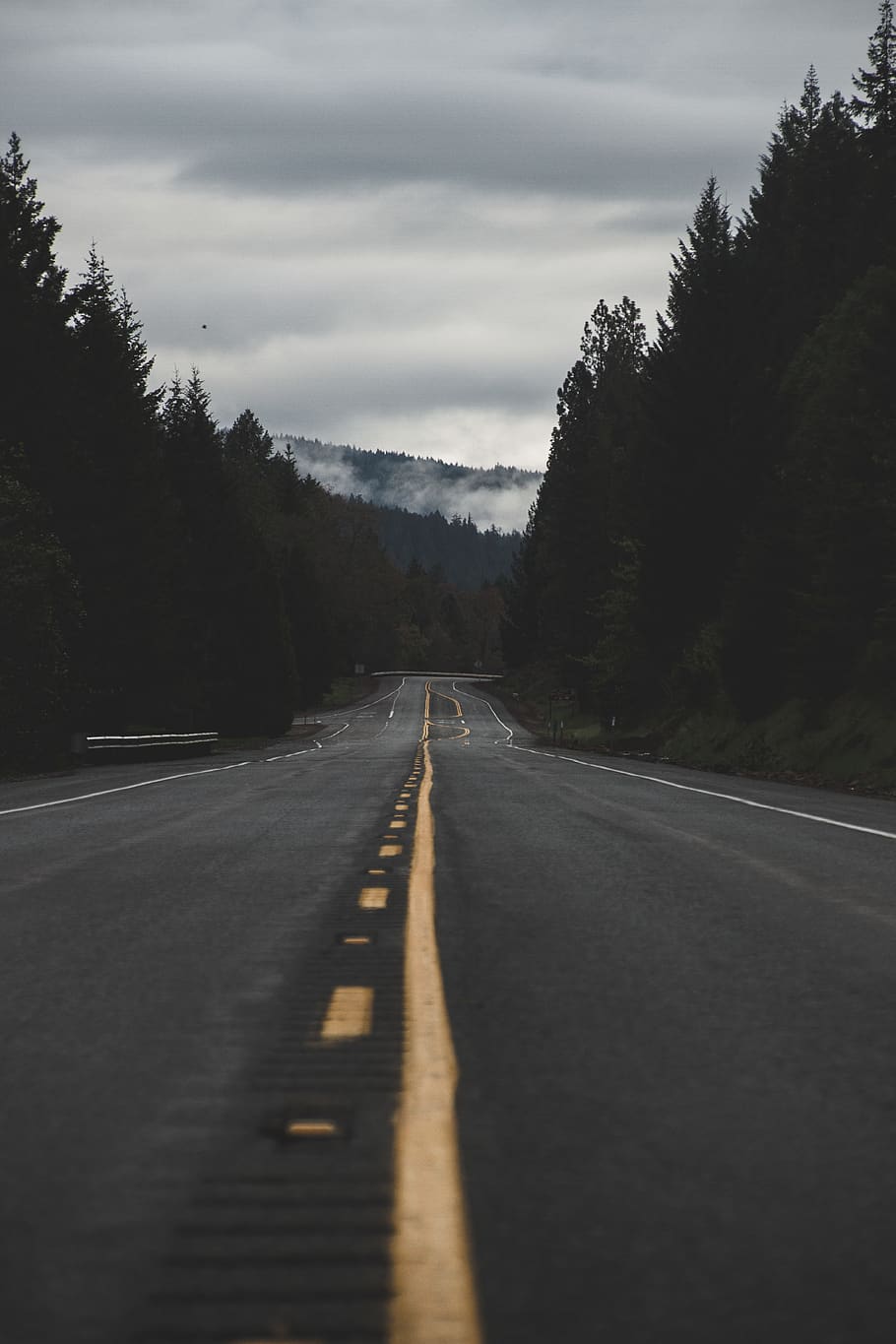 Grey Concrete Road Between Trees, asphalt, dawn, daylight, drive HD wallpaper