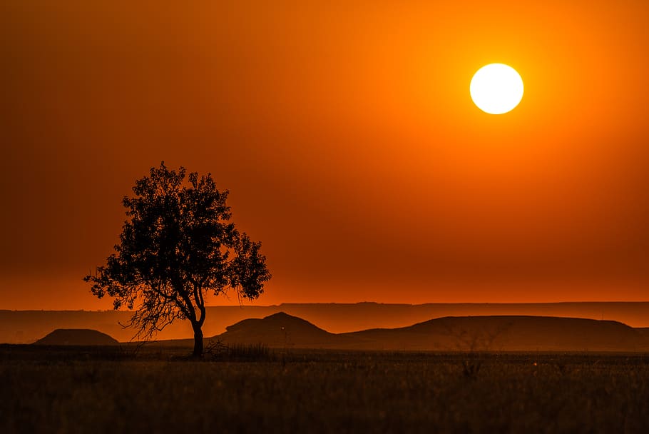 landscape, sun, nature, sky, trees, clouds, afternoon, color HD wallpaper