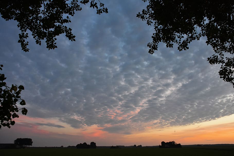 sunset, nature, evening sky, clouds, cloud - sky, tree, plant HD wallpaper