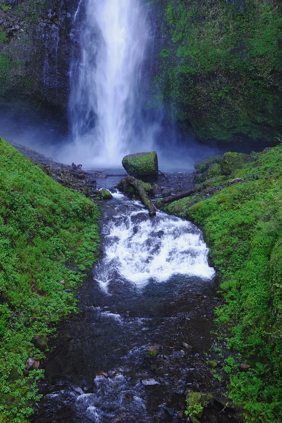 motion, scenics - nature, beauty in nature, water, plant, flowing water HD wallpaper