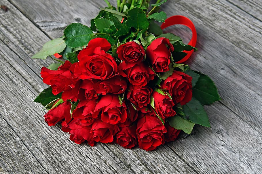 red rose, red rose bouquet, valentine's, valentine's day, love, HD wallpaper
