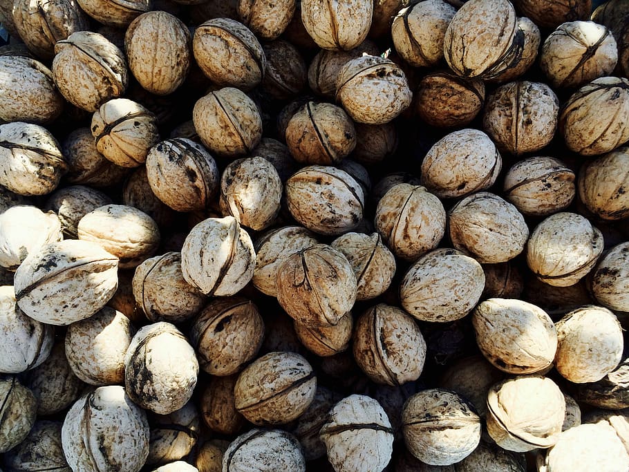 russia, volgodonsk, nuts, walnut, texture, background, large group of objects HD wallpaper