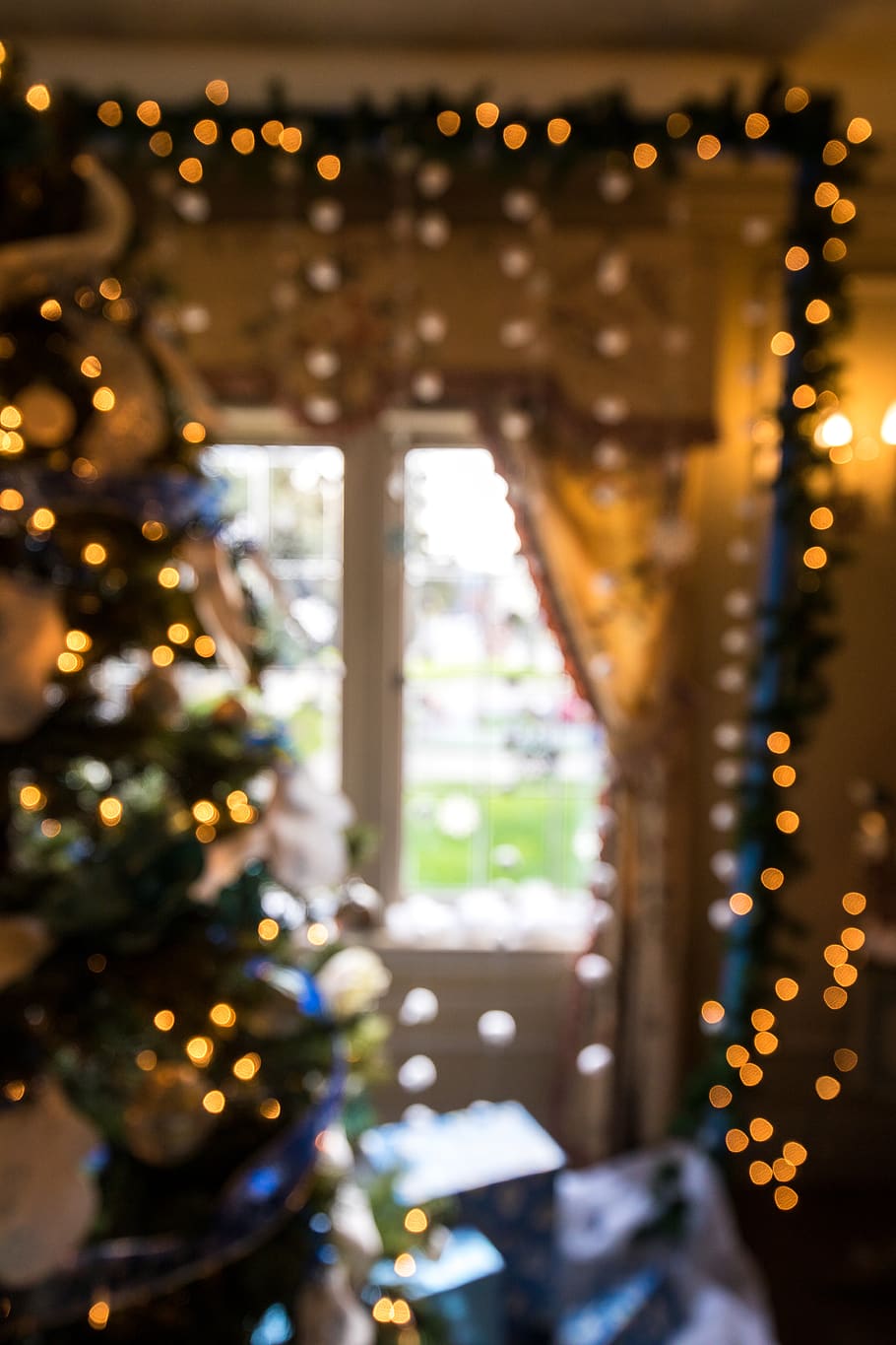 lighted Christmas tree near window, plant, ornament, fir, abies HD wallpaper