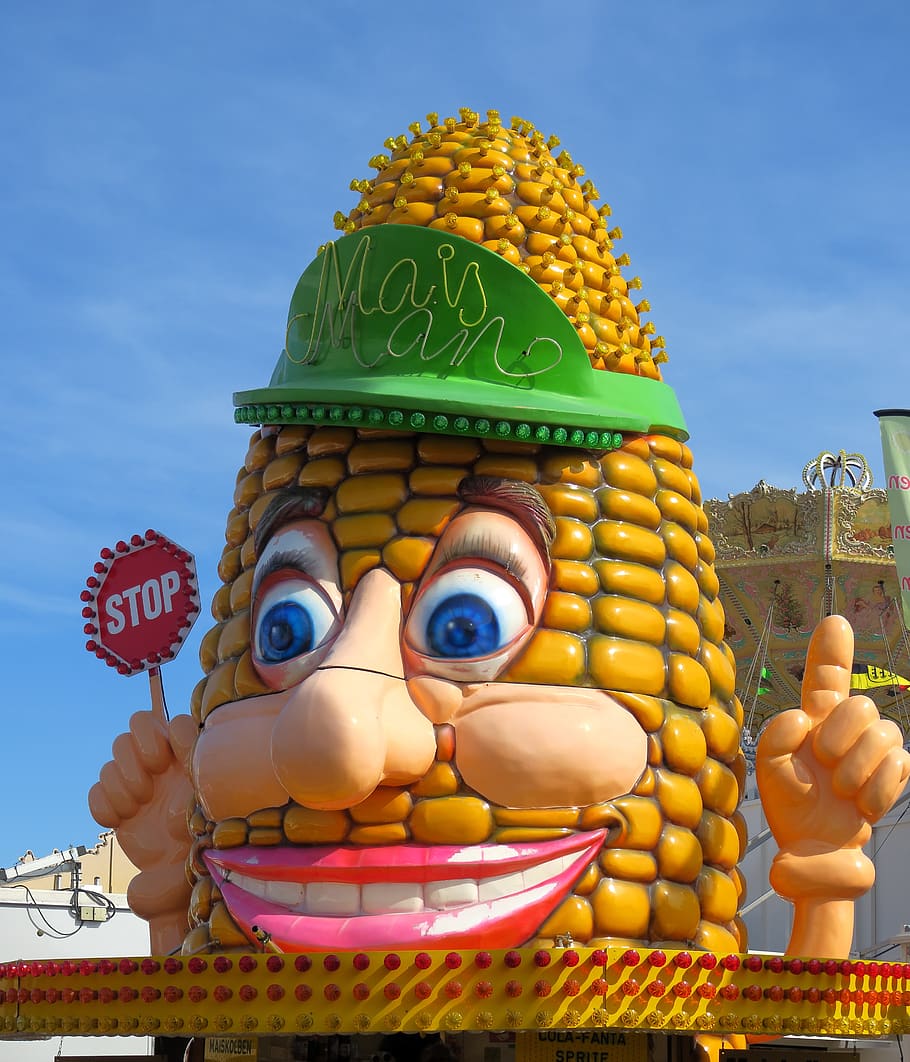 corn, corn on the cob, sky, fair, year market, carnies, folk festival, HD wallpaper