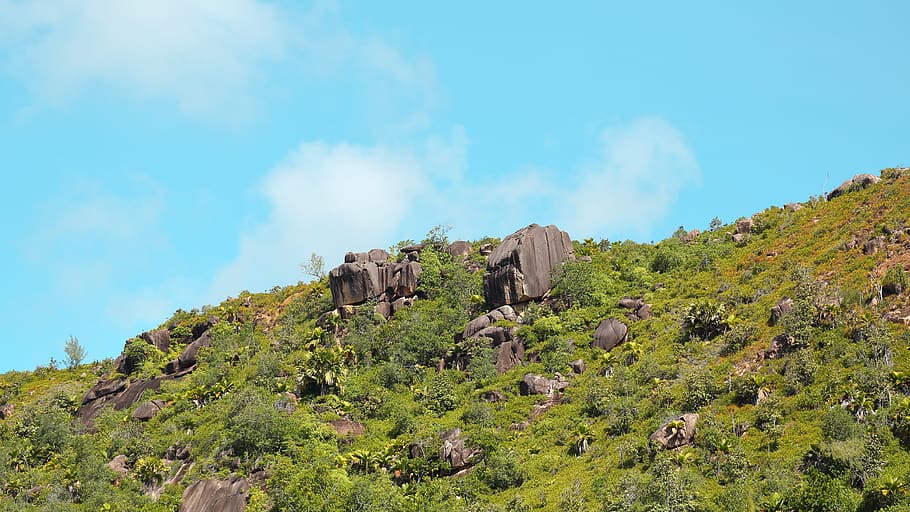 seychelles, praslin, sky, hill, mountain, grass, stones, green HD wallpaper
