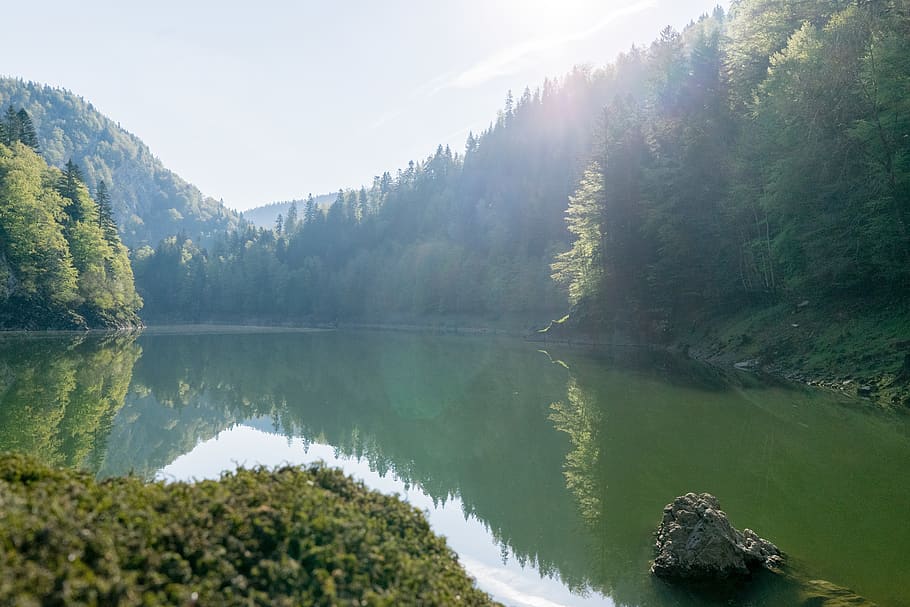 hiking, reflection, summer, calm, lake, tree, switzerland, water HD wallpaper