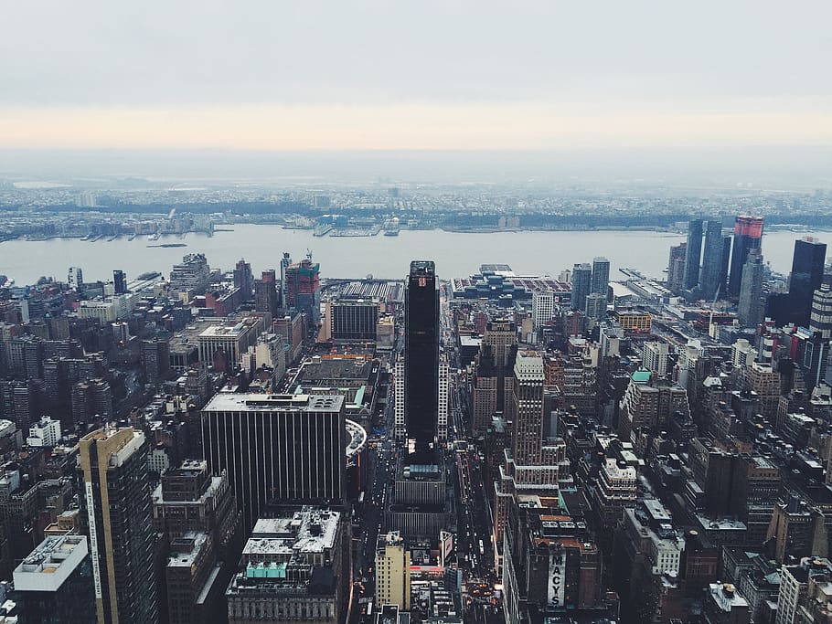 window, building, skyscraper, america, finance, perspective HD wallpaper