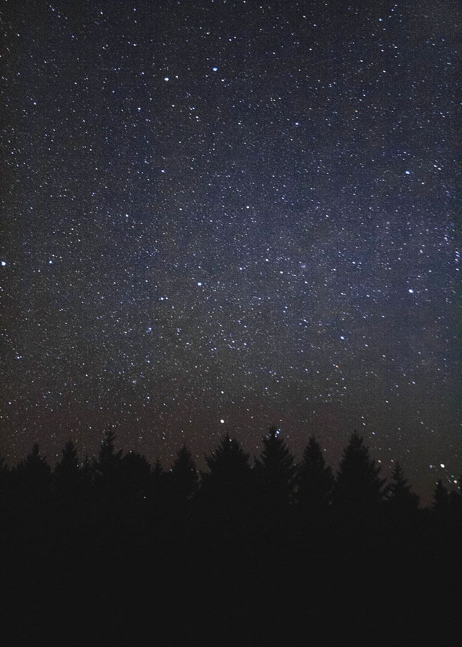 canada, saskatchewan, stars, trees, faded, star - space, astronomy HD wallpaper