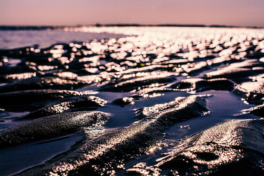 Shallow Focus Photography of Mud, beach, bokeh, bright, dawn HD wallpaper