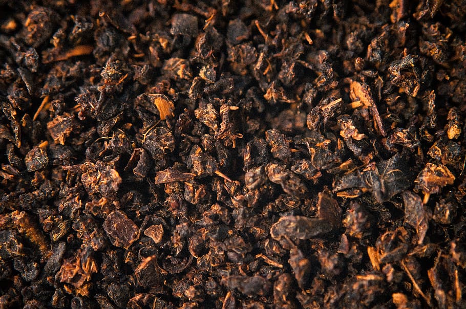 tea, closeup, close-up, food, full frame, food and drink, insect HD wallpaper