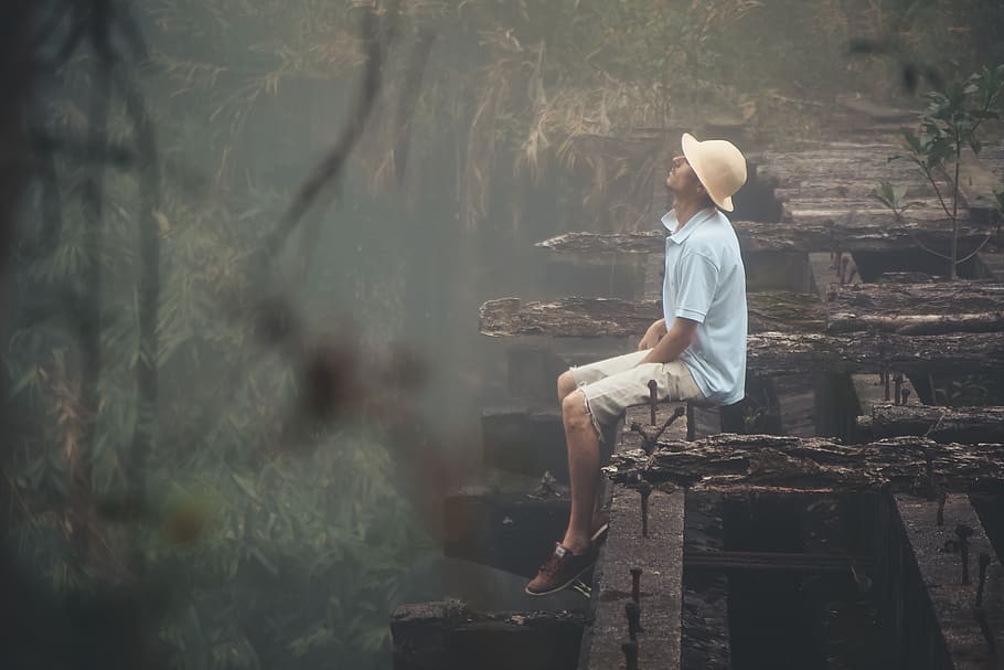 real people, tree, one person, lifestyles, nature, plant, hat HD wallpaper