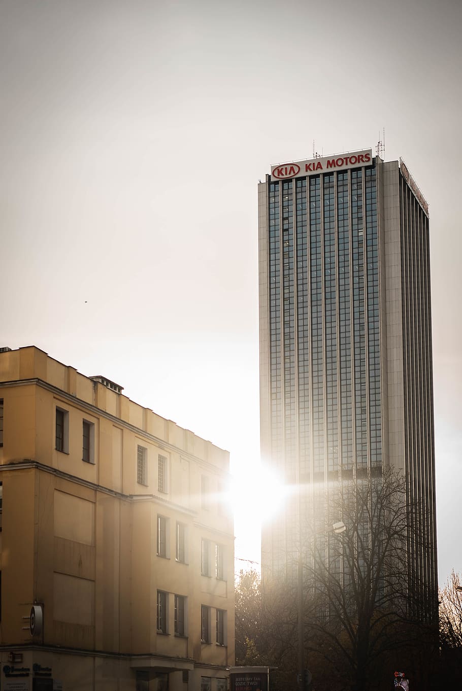 high-rise building, office building, city, flare, light, high rise HD wallpaper