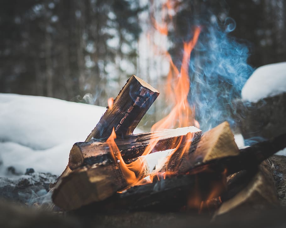 firewood on flame, burning, heat - temperature, fire - natural phenomenon HD wallpaper
