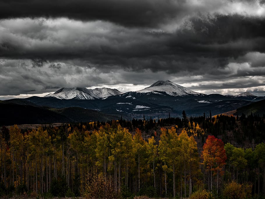 autumn, fall, trees, plant, mountain, view, highland, landscape HD wallpaper
