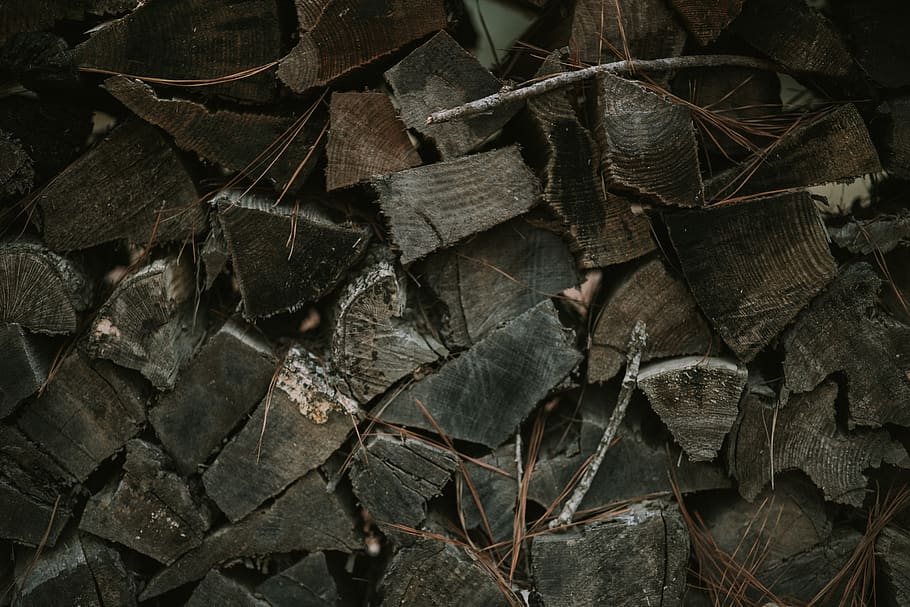 wood, logs, forest, camp, trees, backgrounds, full frame, leaf HD wallpaper