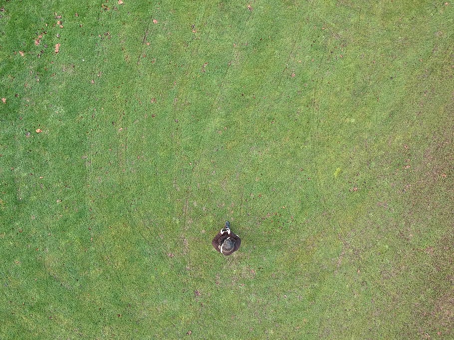 france, flins-sur-seine, field, grass, green, drone, outdoor, HD wallpaper