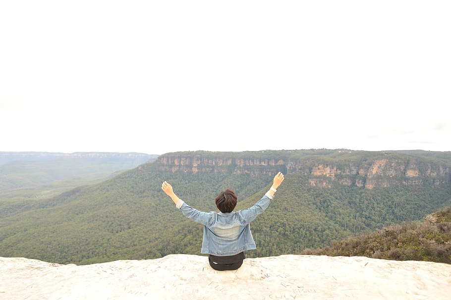 australia, blue mountains, forest, human arm, rear view, one person HD wallpaper