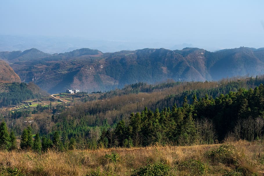 mountain, haze, tree, woods, housing, country, china, guizhou HD wallpaper