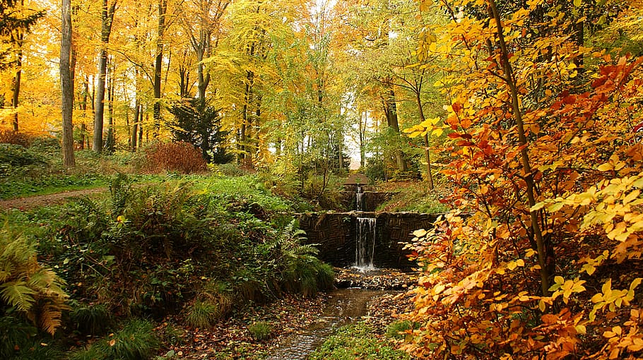 autumn, fall colors, forest, waterfall, brook, creek, landscape HD wallpaper