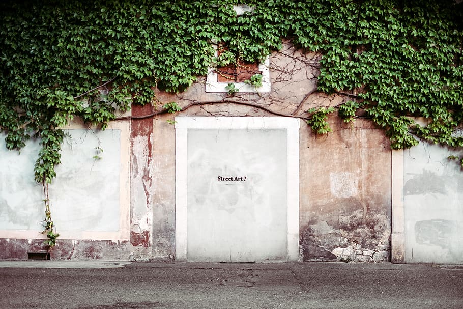plants, sidewalk, vines, wall, architecture, building exterior HD wallpaper