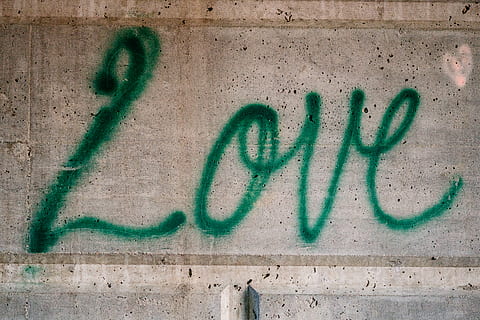 Love graffiti on wall, reptile, animal, snake, art, text, painting HD wallpaper