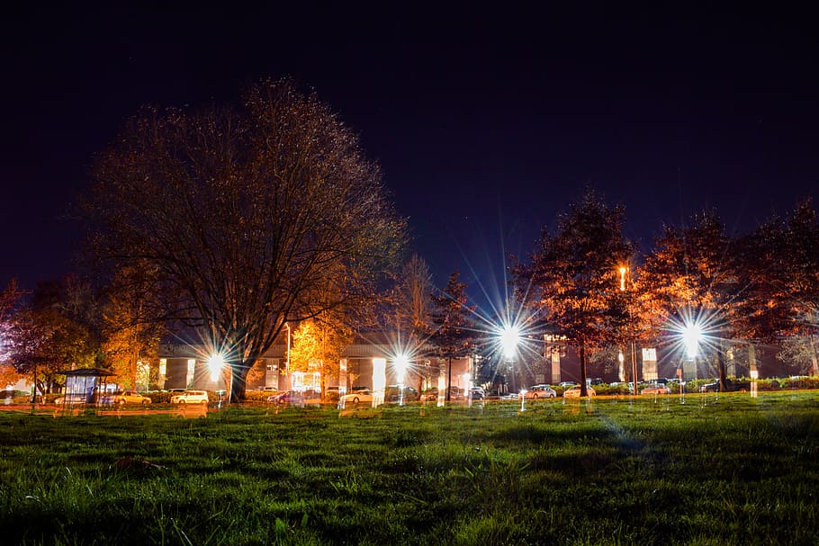 lamp, school, dark, night, lights, cars, trees, clark, branches HD wallpaper