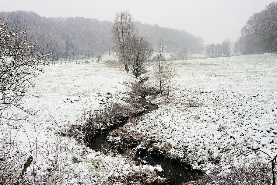 landscape, winter, bach, snow, nature, cold, wintry, frost HD wallpaper